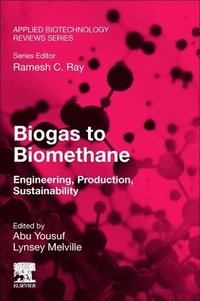 bokomslag Biogas to Biomethane