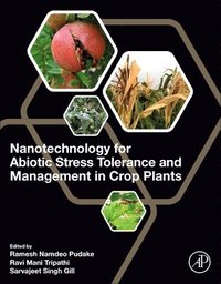 bokomslag Nanotechnology for Abiotic Stress Tolerance and Management in Crop Plants