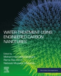bokomslag Water Treatment Using Engineered Carbon Nanotubes