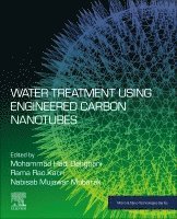 Mohammad Hadi Dehghani, Rama Rao Karri, Nabisab Mujawar Mubarak - Water Treatment Using Engineered Carbon Nanotubes, Häftad