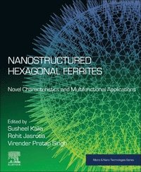 bokomslag Nanostructured Hexagonal Ferrites