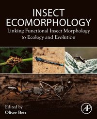 bokomslag Insect Ecomorphology