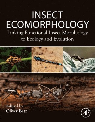 bokomslag Insect Ecomorphology