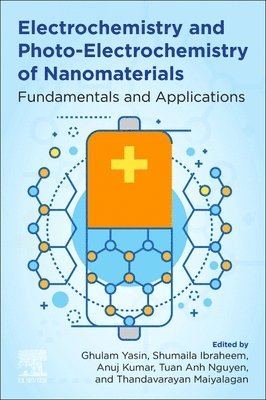 bokomslag Electrochemistry and Photo-Electrochemistry of Nanomaterials