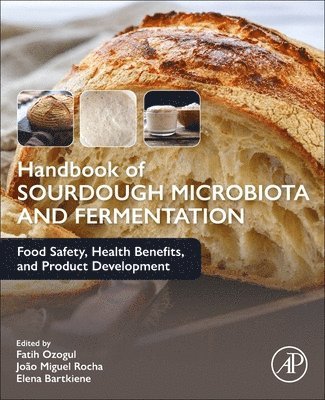 bokomslag Handbook of Sourdough Microbiota and Fermentation