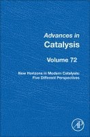 New Horizons in Modern Catalysis: Five Different Perspectives, Inbunden