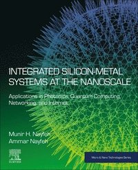 bokomslag Integrated Silicon-Metal Systems at the Nanoscale