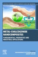 Mohammad Ehtisham Khan, Jeenat Aslam - Metal-Chalcogenide Nanocomposites, Häftad