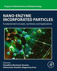 bokomslag Nano-Enzyme Incorporated Particles