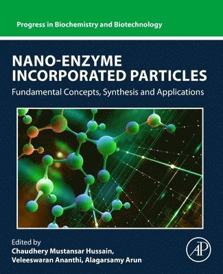 Nano-Enzyme Incorporated Particles 1