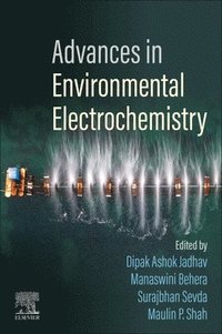 bokomslag Advances in Environmental Electrochemistry