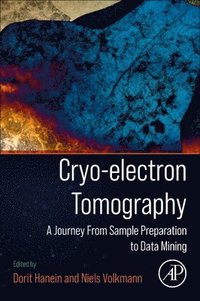 bokomslag Cryo-electron Tomography