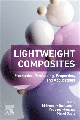 Mrityunjay Doddamani, Pradeep Menezes, Manoj Gupta - Lightweight Composites, Häftad