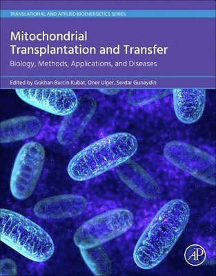 bokomslag Mitochondrial Transplantation and Transfer