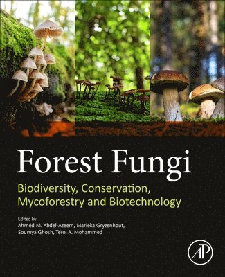 Ahmed M. Abdel Azeem, Marieka Gryzenhout, Soumya Ghosh, Teroj A. Mohammed - Forest Fungi, Häftad