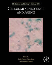 bokomslag Cellular Senescence and Aging