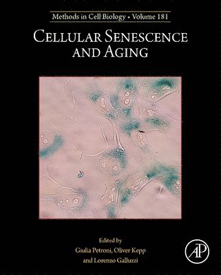 bokomslag Cellular Senescence and Aging