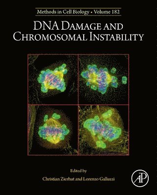 bokomslag DNA Damage and Chromosomal Instability