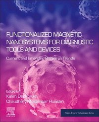 bokomslag Functionalized Magnetic Nanosystems for Diagnostic Tools and Devices