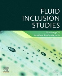 bokomslag Fluid Inclusion Studies