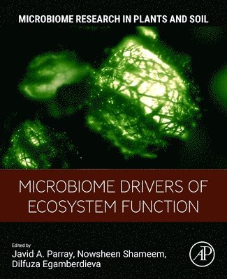 bokomslag Microbiome Drivers of Ecosystem Function
