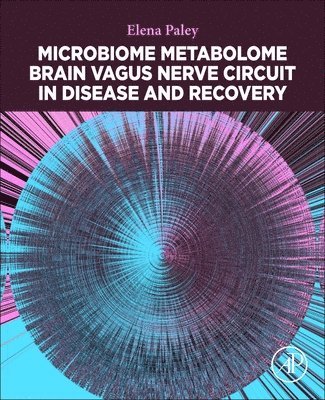 bokomslag Microbiome Metabolome Brain Vagus Nerve Circuit in Disease and Recovery