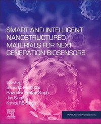 bokomslag Smart and Intelligent Nanostructured Materials for Next-Generation Biosensors