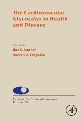 bokomslag Cardiovascular Glycocalyx in Health and Disease