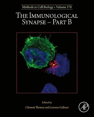 Immunological Synapse - Part B 1