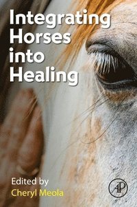 bokomslag Integrating Horses into Healing