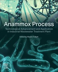 bokomslag Anammox Process