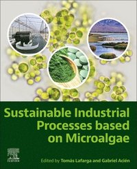 bokomslag Sustainable Industrial Processes Based on Microalgae