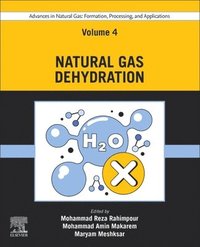 bokomslag Advances in Natural Gas: Formation, Processing, and Applications. Volume 4: Natural Gas Dehydration