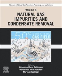 bokomslag Advances in Natural Gas: Formation, Processing, and Applications. Volume 5: Natural Gas Impurities and Condensate Removal