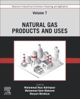 bokomslag Advances in Natural Gas: Formation, Processing, and Applications. Volume 7: Natural Gas Products and Uses