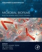 bokomslag Microbial Biofilms