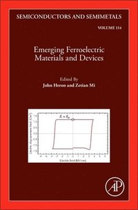 bokomslag Emerging Ferroelectric Materials and Devices