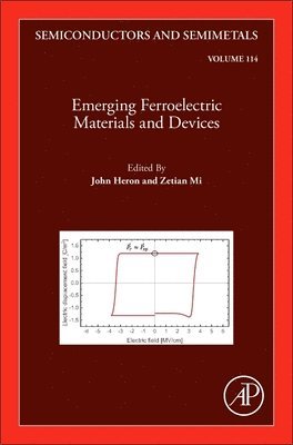 Emerging Ferroelectric Materials and Devices 1