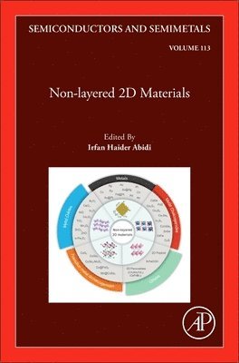 bokomslag Non-layered 2D Materials