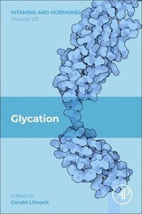 bokomslag Glycation