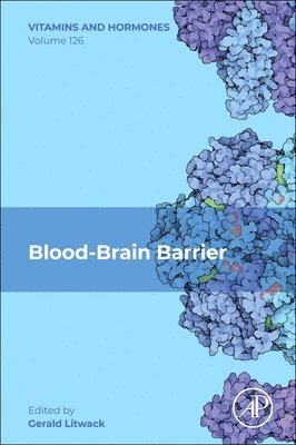 bokomslag Blood-Brain Barrier