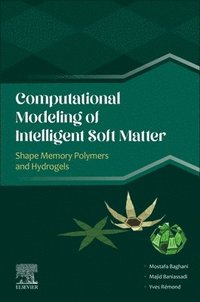 bokomslag Computational Modeling of Intelligent Soft Matter