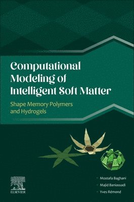 bokomslag Computational Modeling of Intelligent Soft Matter