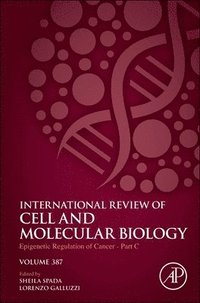 bokomslag Epigenetic Regulation of Cancer-Part C