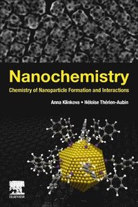 bokomslag Nanochemistry