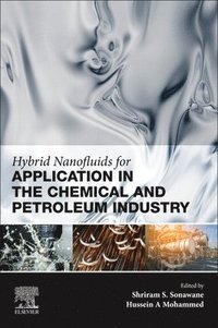 bokomslag Hybrid Nanofluids for Application in the Chemical and Petroleum Industry