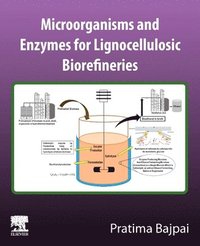 bokomslag Microorganisms and enzymes for lignocellulosic biorefineries