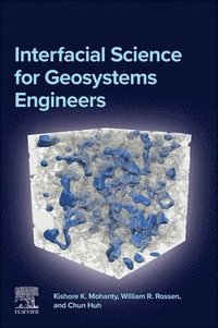 bokomslag Interfacial Science for Geosystems Engineers