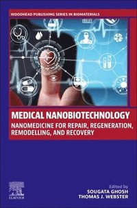 bokomslag Medical Nanobiotechnology