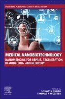 Sougata Ghosh, Thomas J. Webster - Medical Nanobiotechnology, Häftad